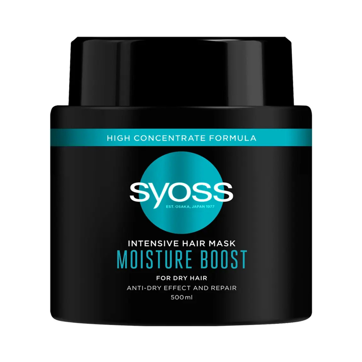 Moisture Boost Intensive Hair Mask